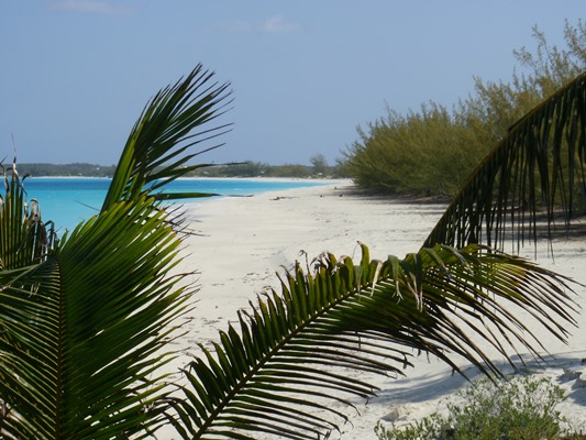 /listing-lot-with-beach-access-13816.html from Coldwell Banker Bahamas Real Estate