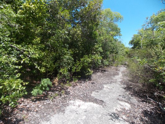 /listing-vacant-lot-13822.html from Coldwell Banker Bahamas Real Estate