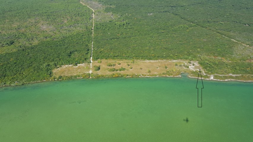 /listing-water-front-fresh-creek-andros-lot-1-14736.html from Coldwell Banker Bahamas Real Estate