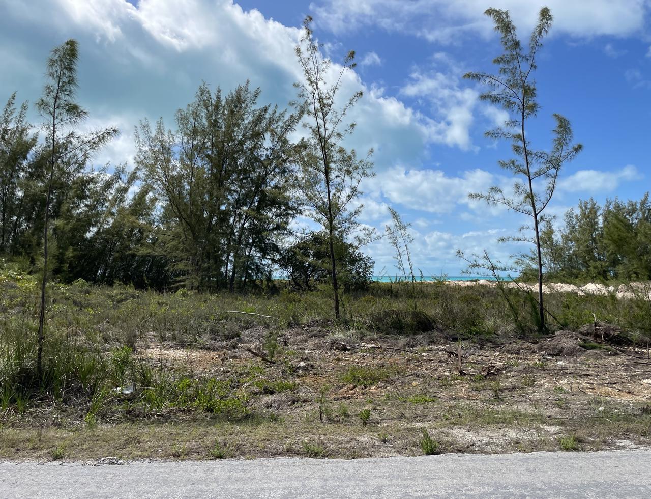 /listing-north-eleuthera-vacant-lot-15012.html from Coldwell Banker Bahamas Real Estate