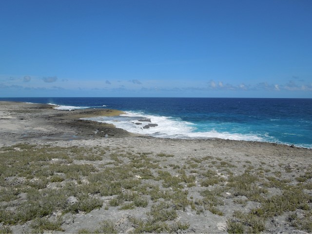 /listing-whale-point-lot-of-2-16261.html from Coldwell Banker Bahamas Real Estate