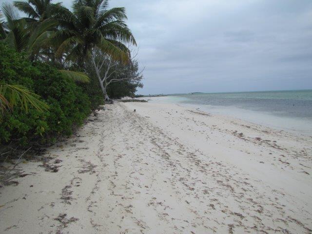 /listing-mangrove-cay-16795.html from Coldwell Banker Bahamas Real Estate