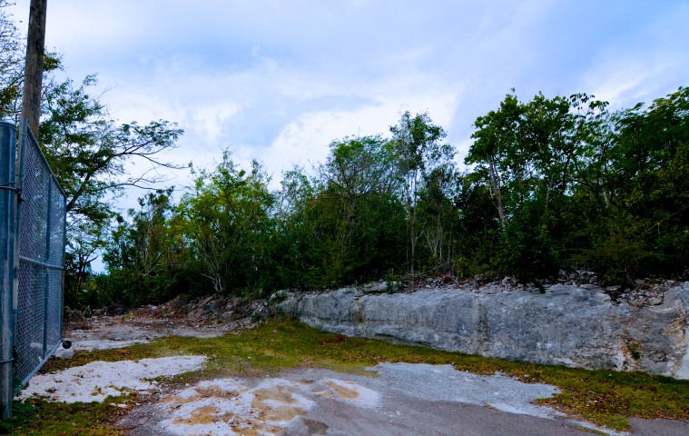 /listing-eastern-nassau-elevated-lot-for-sale-20190.html from Coldwell Banker Bahamas Real Estate