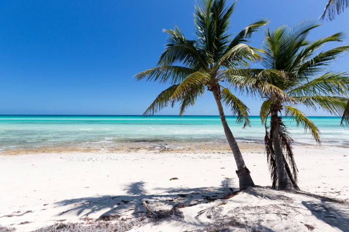 Photo of Andros Bahamas hotel