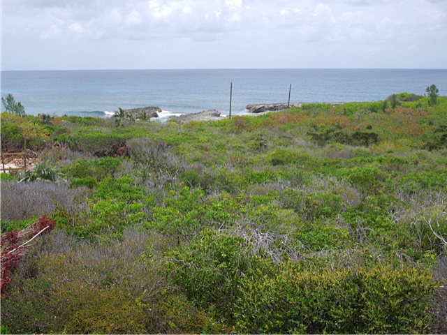 /listing-rainbow-bay-lot-59-block-40-21368.html from Coldwell Banker Bahamas Real Estate