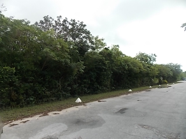 /listing-vacant-land-22973.html from Coldwell Banker Bahamas Real Estate