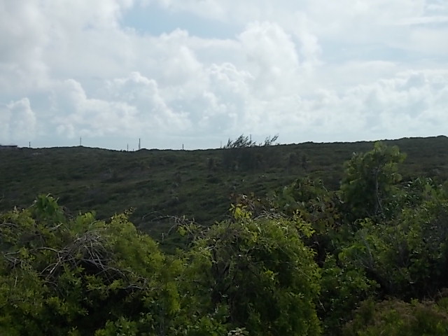 /listing-vacant-land-22974.html from Coldwell Banker Bahamas Real Estate