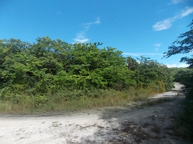/listing-vacant-land-22976.html from Coldwell Banker Bahamas Real Estate