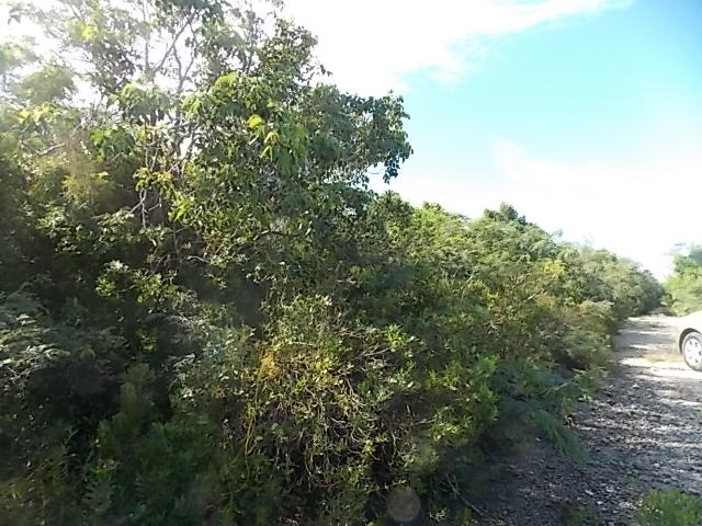 /listing-vacant-land-in-stella-maris-23051.html from Coldwell Banker Bahamas Real Estate