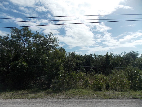 /listing-vacant-land-23423.html from Coldwell Banker Bahamas Real Estate