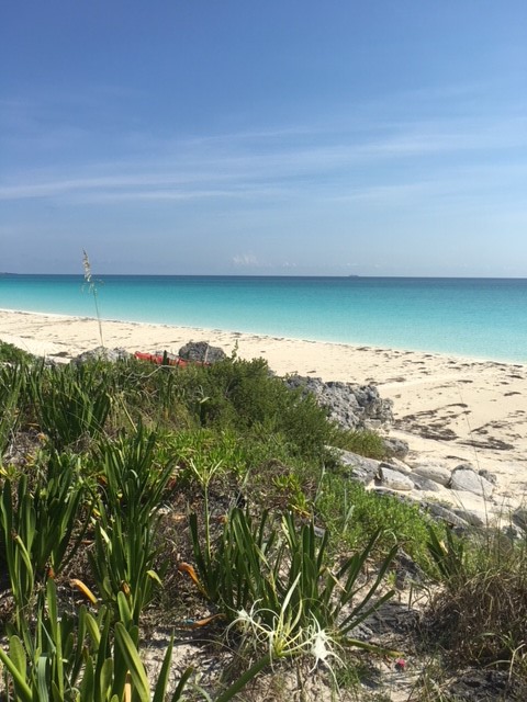 /listing-great-harbour-cay-lot-37-block-13-26501.html from Coldwell Banker Bahamas Real Estate