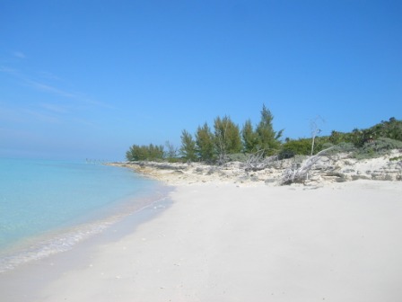 /listing-rose-island-beachfront-lot-2736.html from Coldwell Banker Bahamas Real Estate