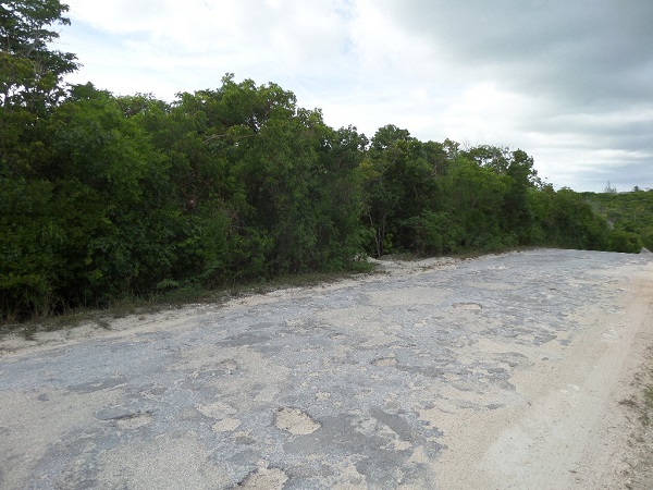 /listing-vacant-land-27962.html from Coldwell Banker Bahamas Real Estate