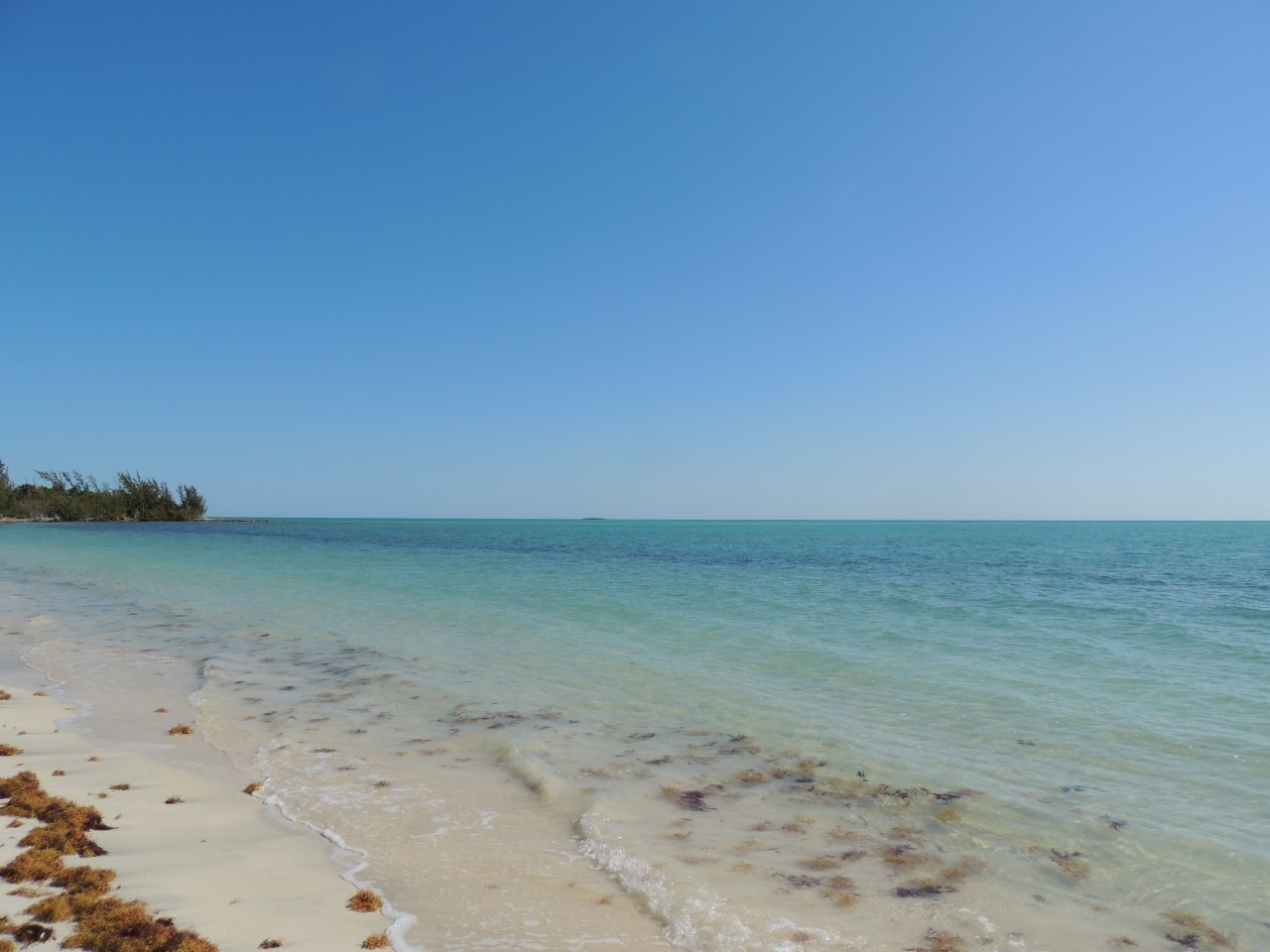 /listing-andros-beachfront-lot-for-sale-29526.html from Coldwell Banker Bahamas Real Estate