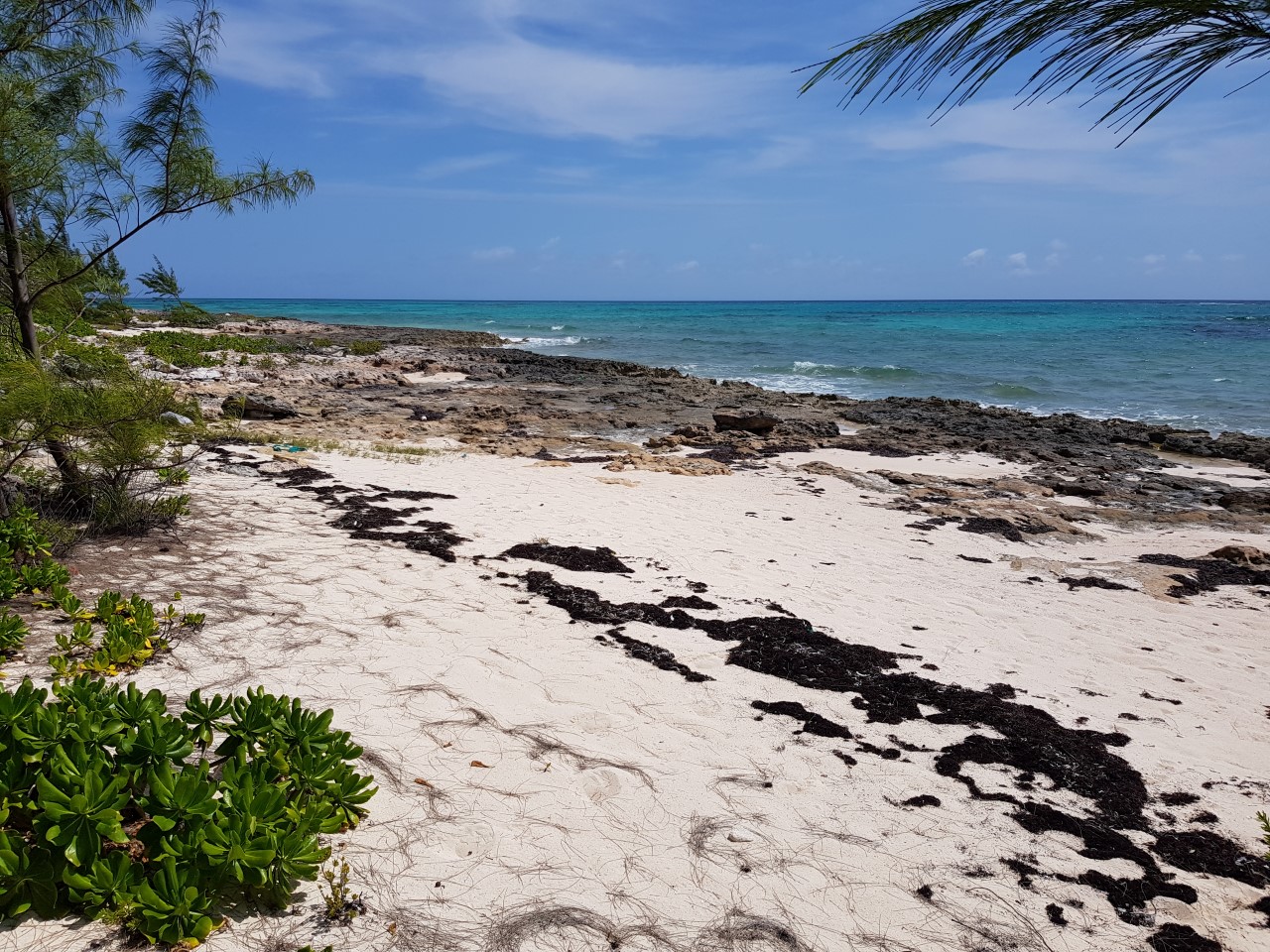 Bahamas Real Estate on For Sale ID 29719