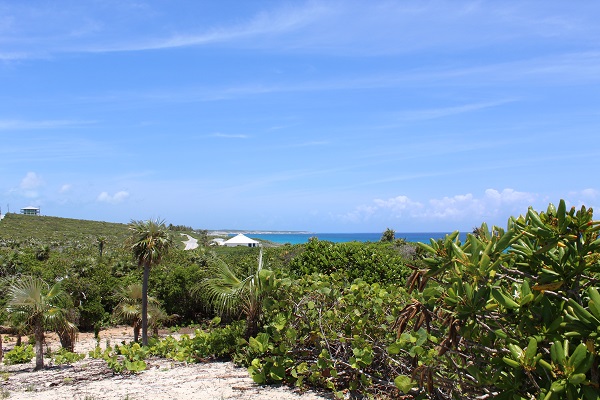 /listing-ocean-view-lot-29787.html from Coldwell Banker Bahamas Real Estate