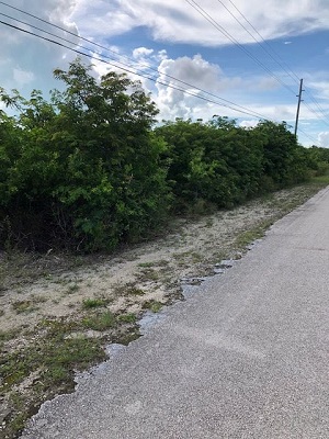 /listing-vacant-land-31392.html from Coldwell Banker Bahamas Real Estate