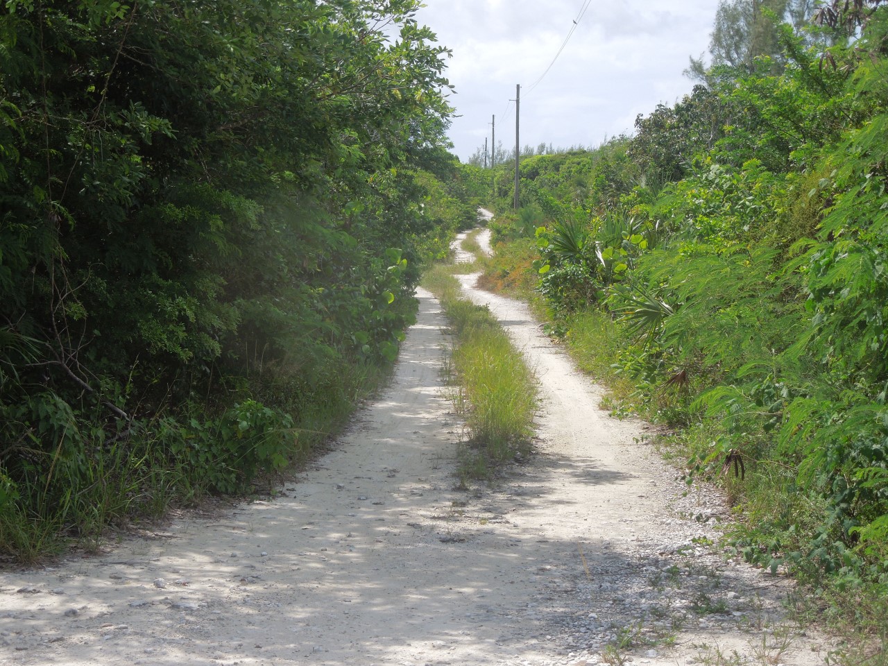 /listing-whale-point-lot-93a-31822.html from Coldwell Banker Bahamas Real Estate