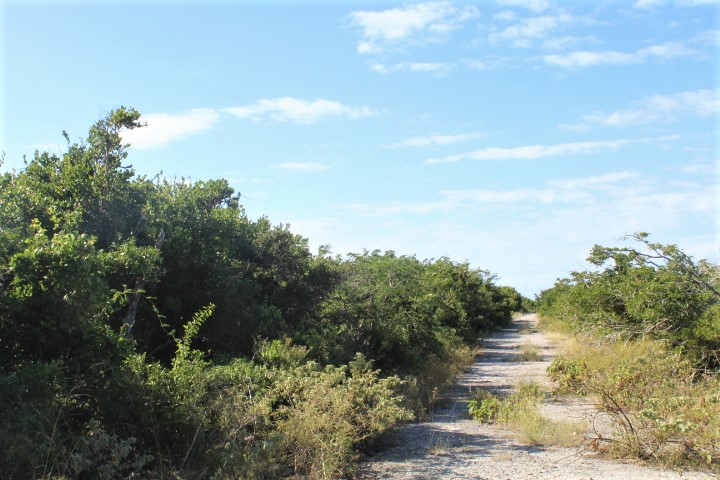 /listing-acreage-property-morrisville-32136.html from Coldwell Banker Bahamas Real Estate