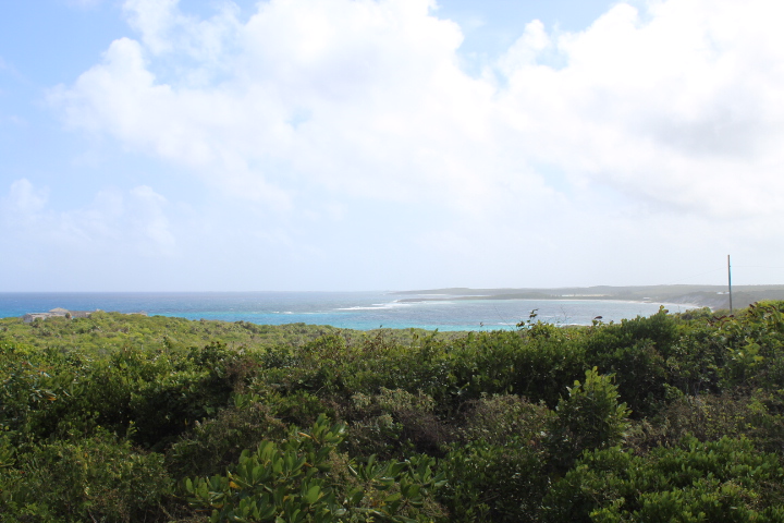 /listing-elevated-lot-with-views-32824.html from Coldwell Banker Bahamas Real Estate