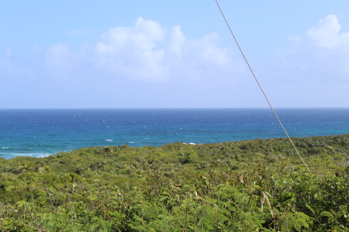 /listing-ocean-view-lot-in-scrub-hill-32825.html from Coldwell Banker Bahamas Real Estate