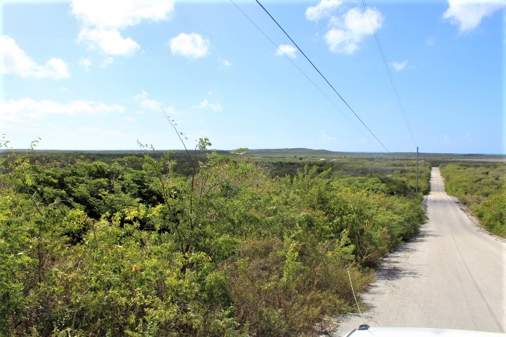 /listing-elevated-lot-scrub-hill-33360.html from Coldwell Banker Bahamas Real Estate