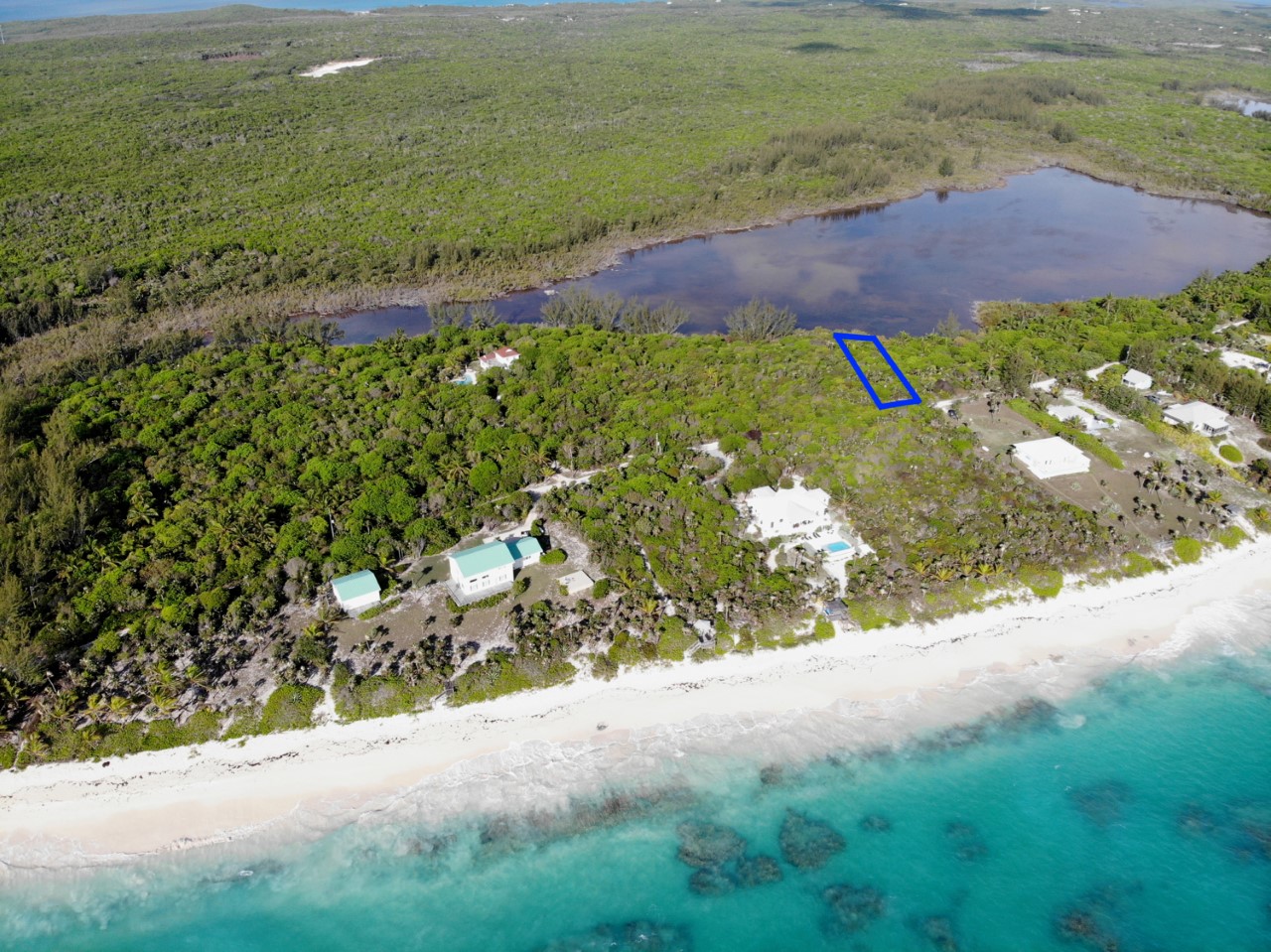 /listing-north-palmetto-point-lot-1-33749.html from Coldwell Banker Bahamas Real Estate