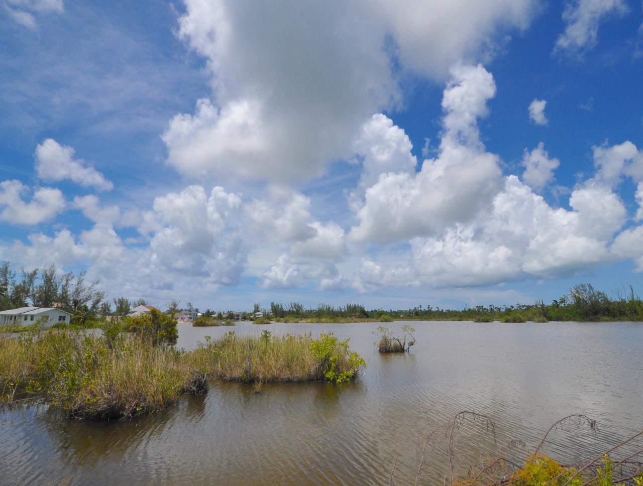 /listing-lakefront-lot-coral-lakes-34622.html from Coldwell Banker Bahamas Real Estate