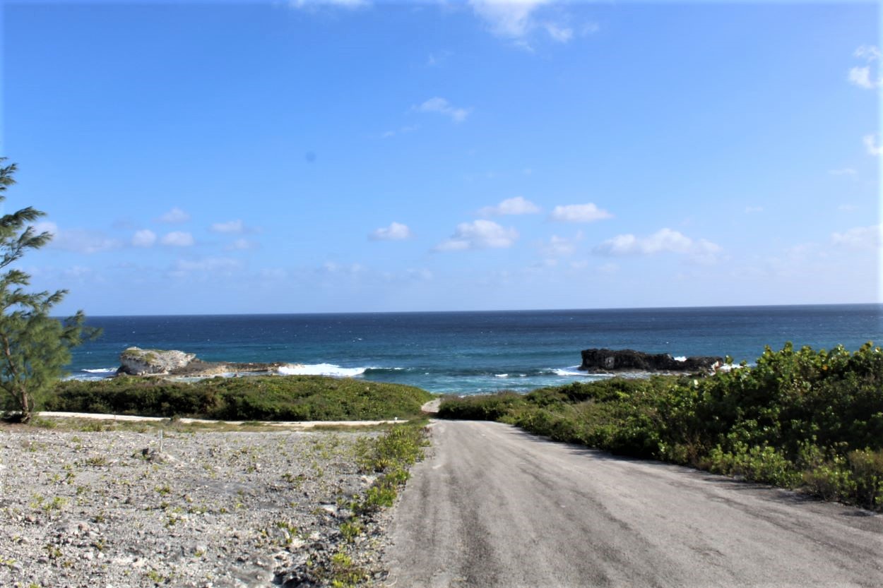 /listing-ocean-view-vacant-lot-for-sale-36038.html from Coldwell Banker Bahamas Real Estate
