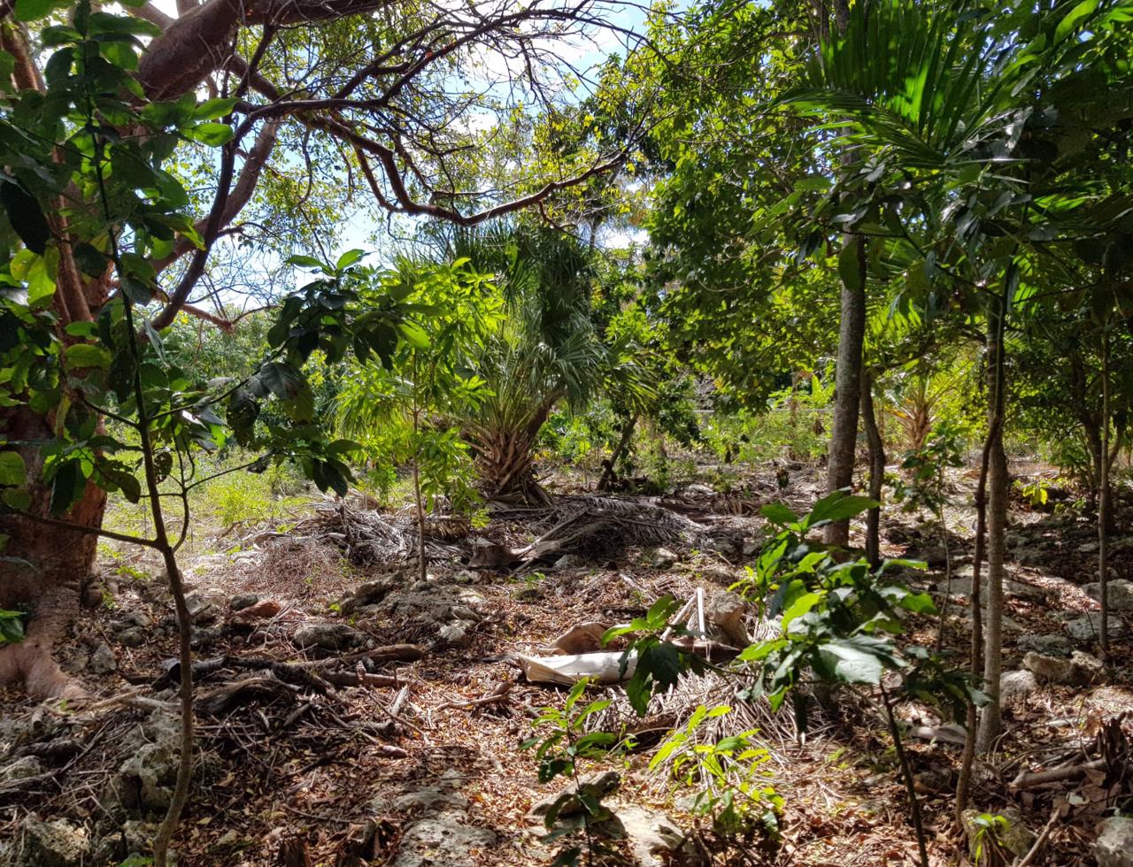 vacant multi-family lot for sale bahamas