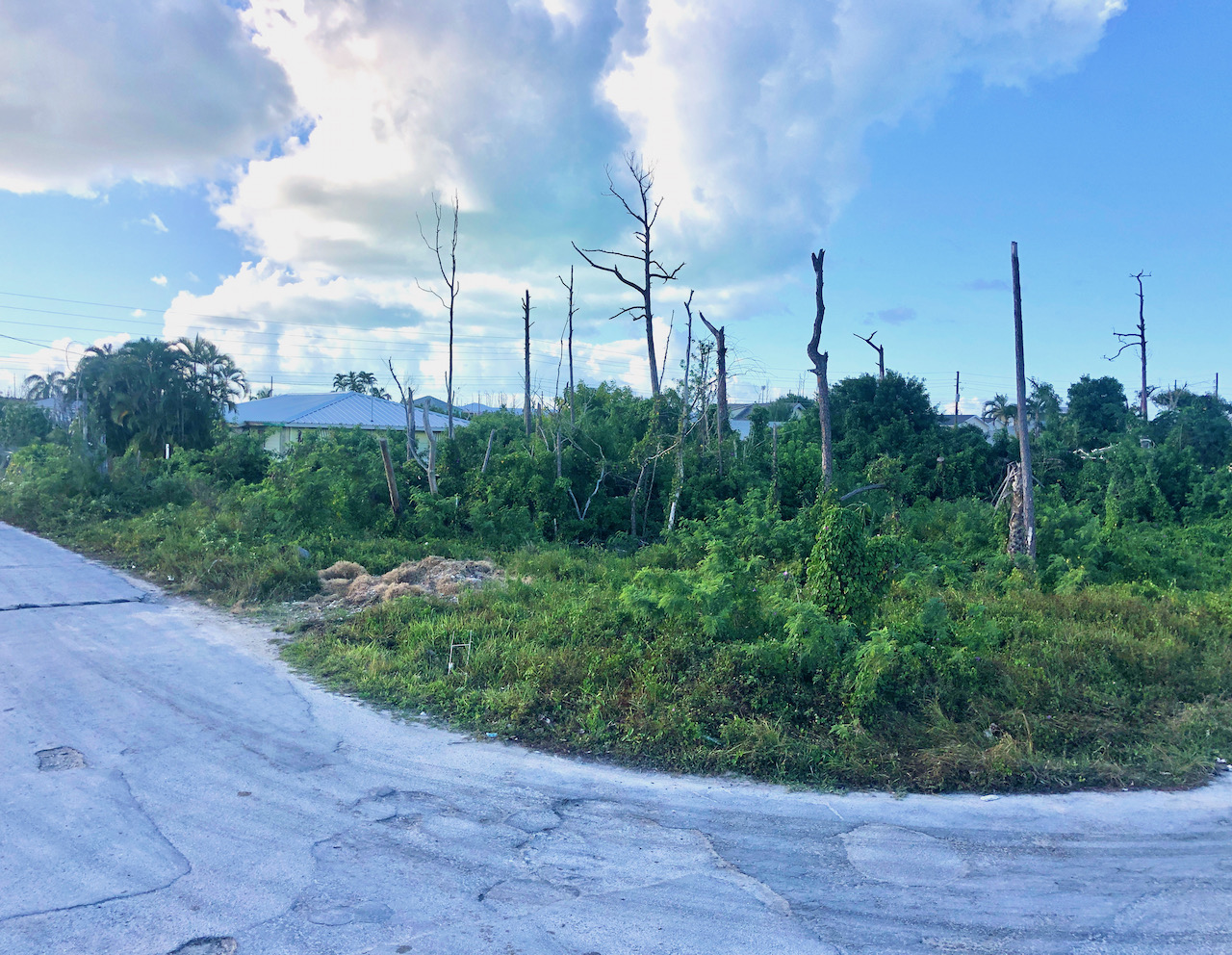 affordable-vacant-land-cove-estates-marsh-harbour-abaco-real-estate-1