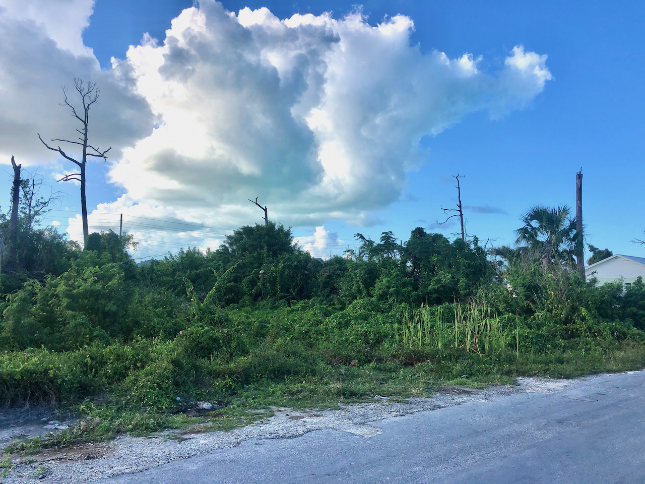 affordable-vacant-land-cove-estates-marsh-harbour-abaco-real-estate-5