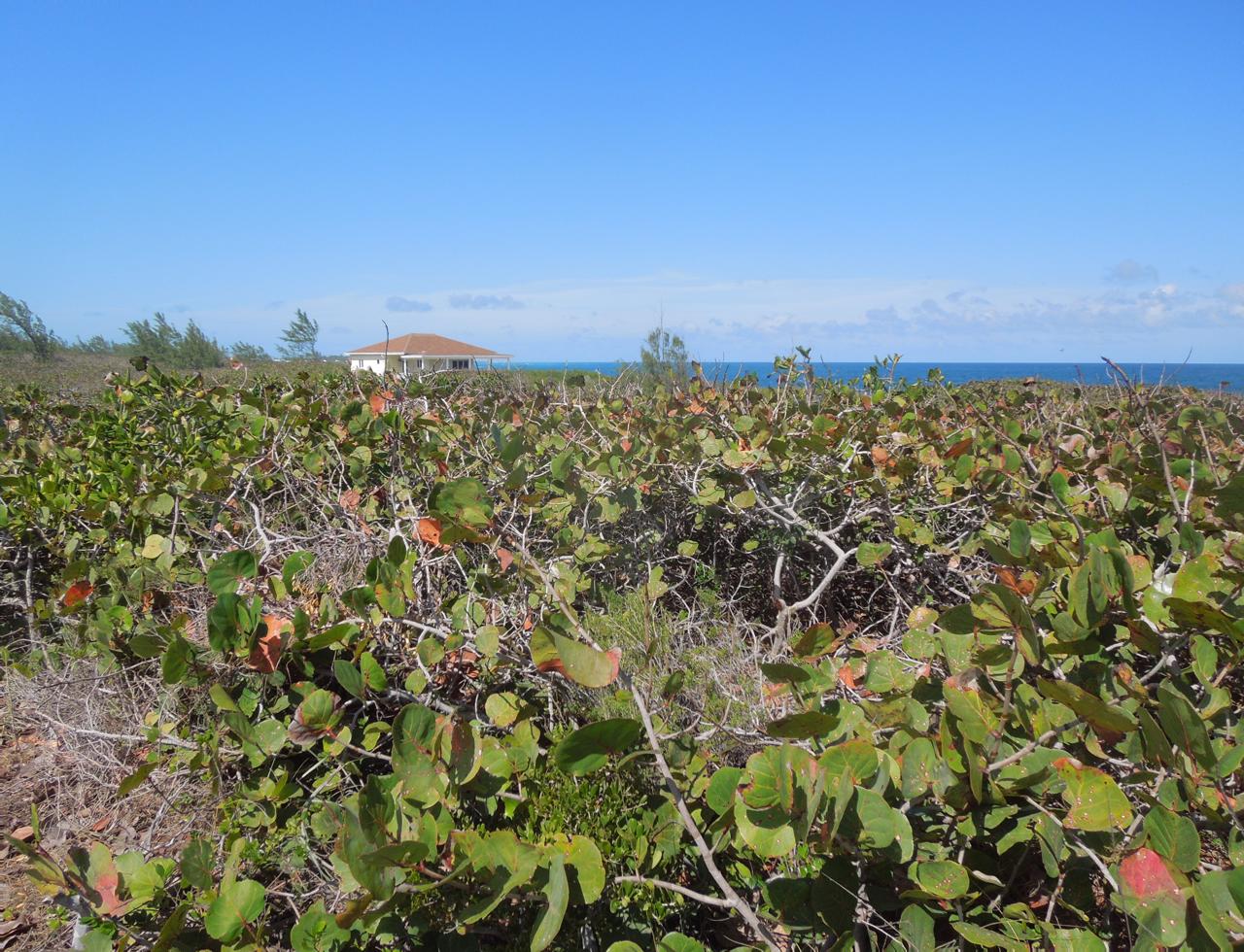 Oceanfront lot north eleuthera 