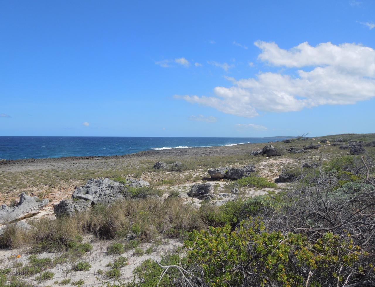 /listing-eleuthera-waterfront-property-for-sale-36743.html from Coldwell Banker Bahamas Real Estate