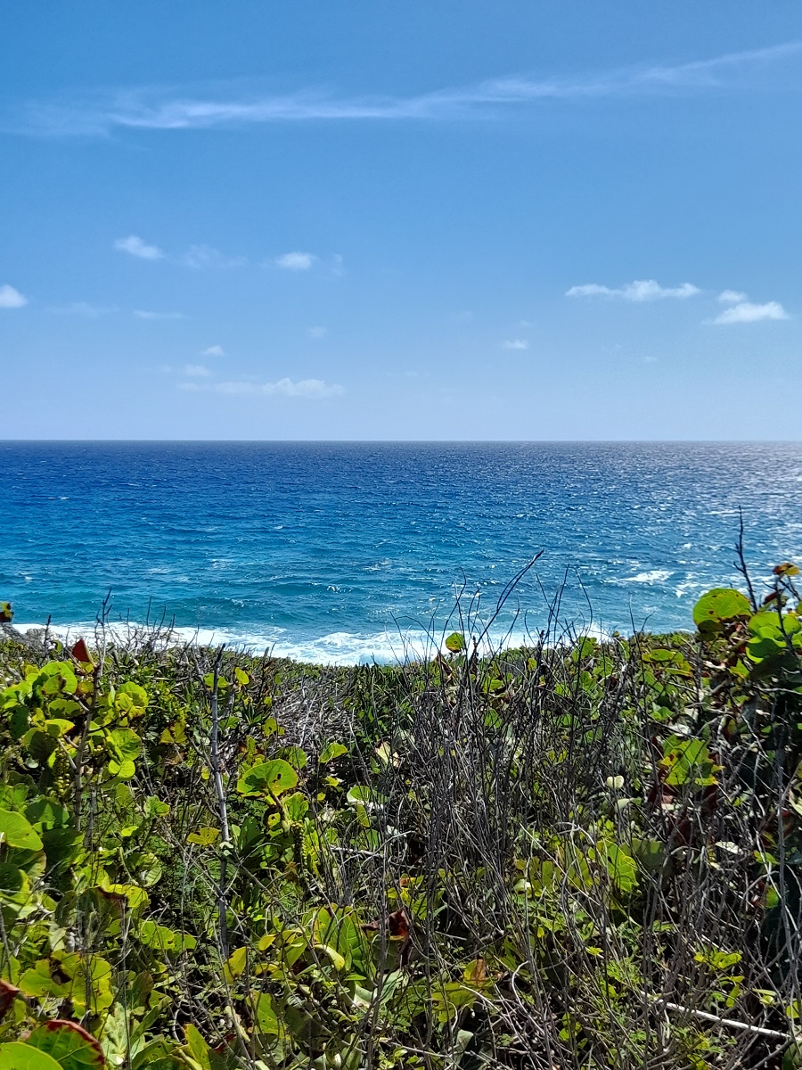 /listing-pending-long-island-ocean-front-lot-for-sale-36752.html from Coldwell Banker Bahamas Real Estate