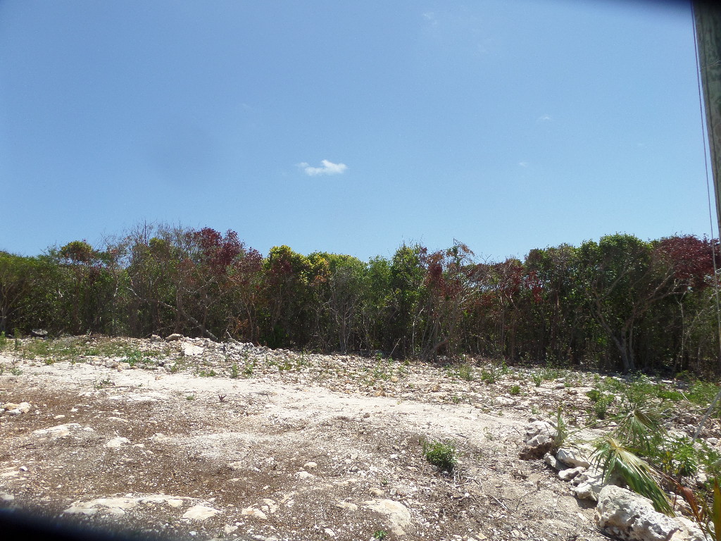 /listing-lot-in-stella-maris-37212.html from Coldwell Banker Bahamas Real Estate