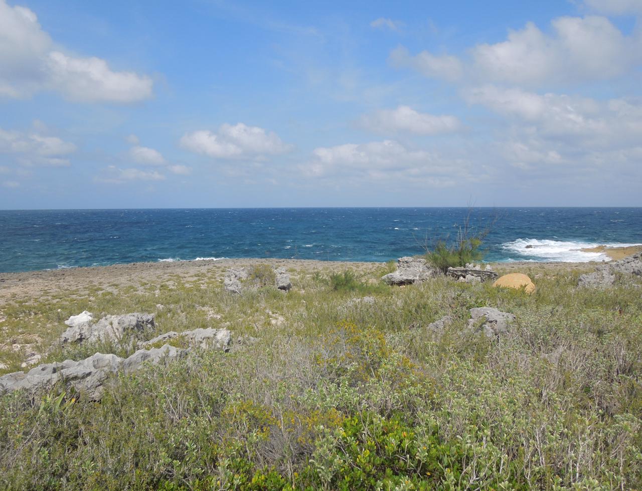 /listing-eleuthera-waterfront-acreage-for-sale-37225.html from Coldwell Banker Bahamas Real Estate