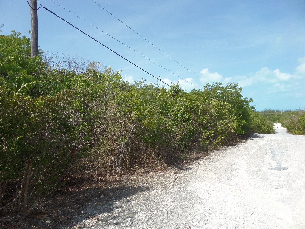 /listing-vacant-lot-for-sale-in-long-island-37693.html from Coldwell Banker Bahamas Real Estate