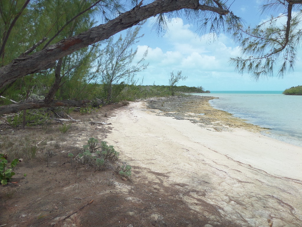 /listing-long-island-water-front-lot-for-sale-37884.html from Coldwell Banker Bahamas Real Estate