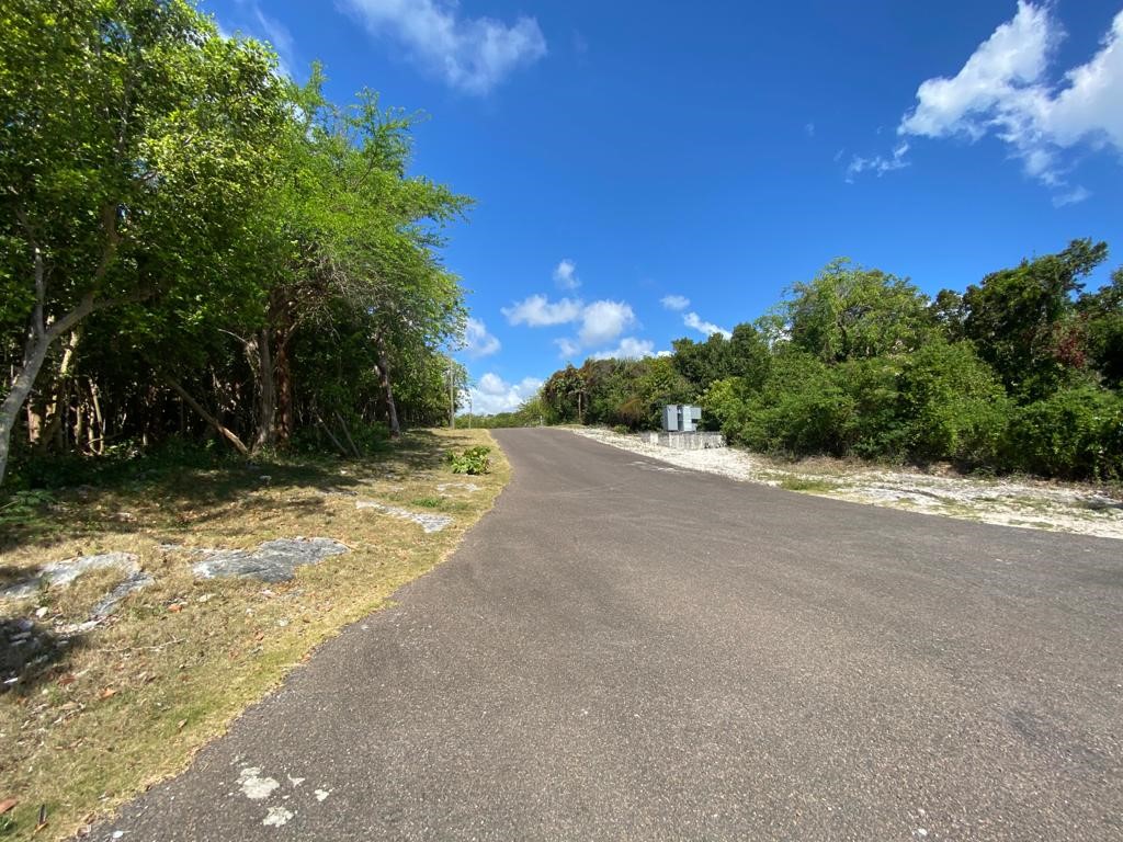/listing-single-family-vacant-lot-for-sale-38467.html from Coldwell Banker Bahamas Real Estate