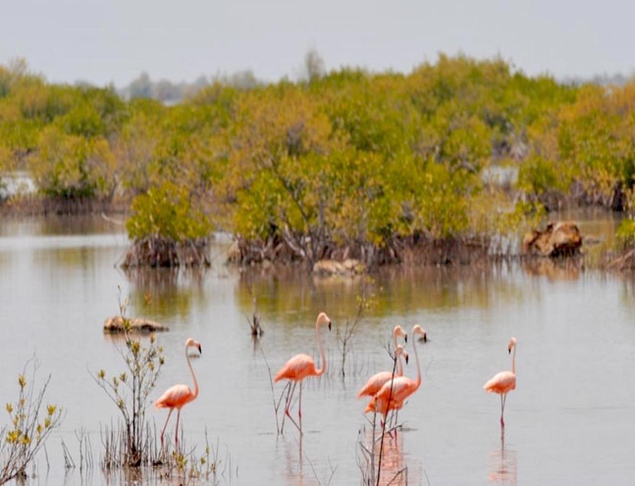 Bahamas Real Estate on Inagua For Sale ID 38838