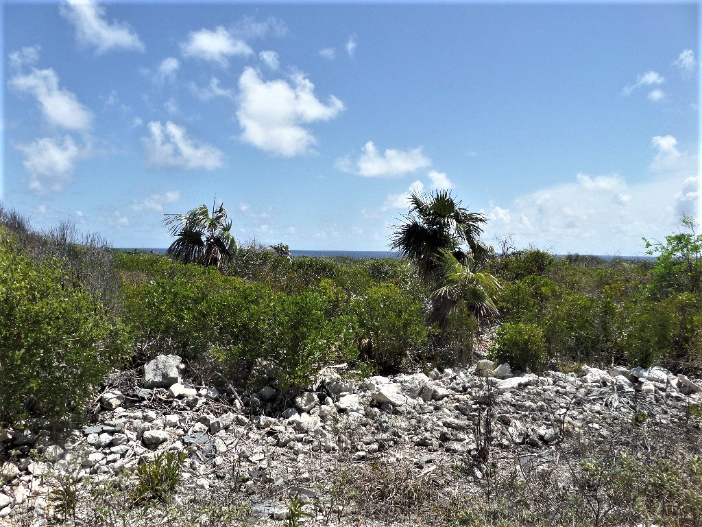 /listing-morrisville-ocean-view-lots-for-sale-38915.html from Coldwell Banker Bahamas Real Estate