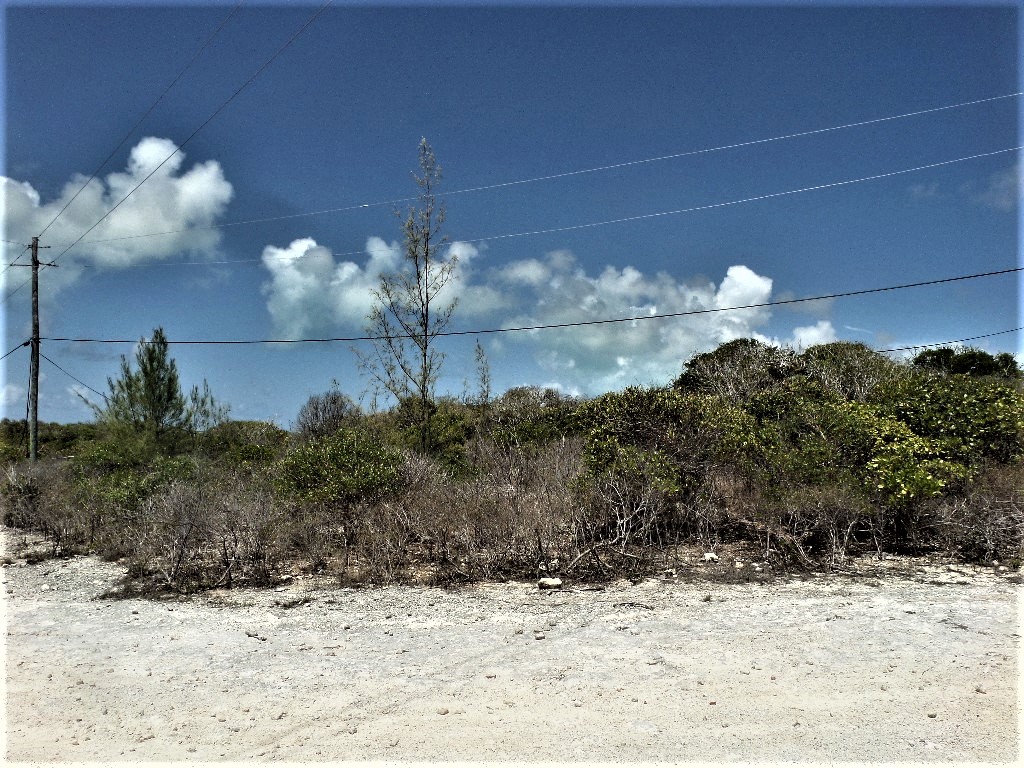 /listing-morrisville-lots-for-sale-38918.html from Coldwell Banker Bahamas Real Estate