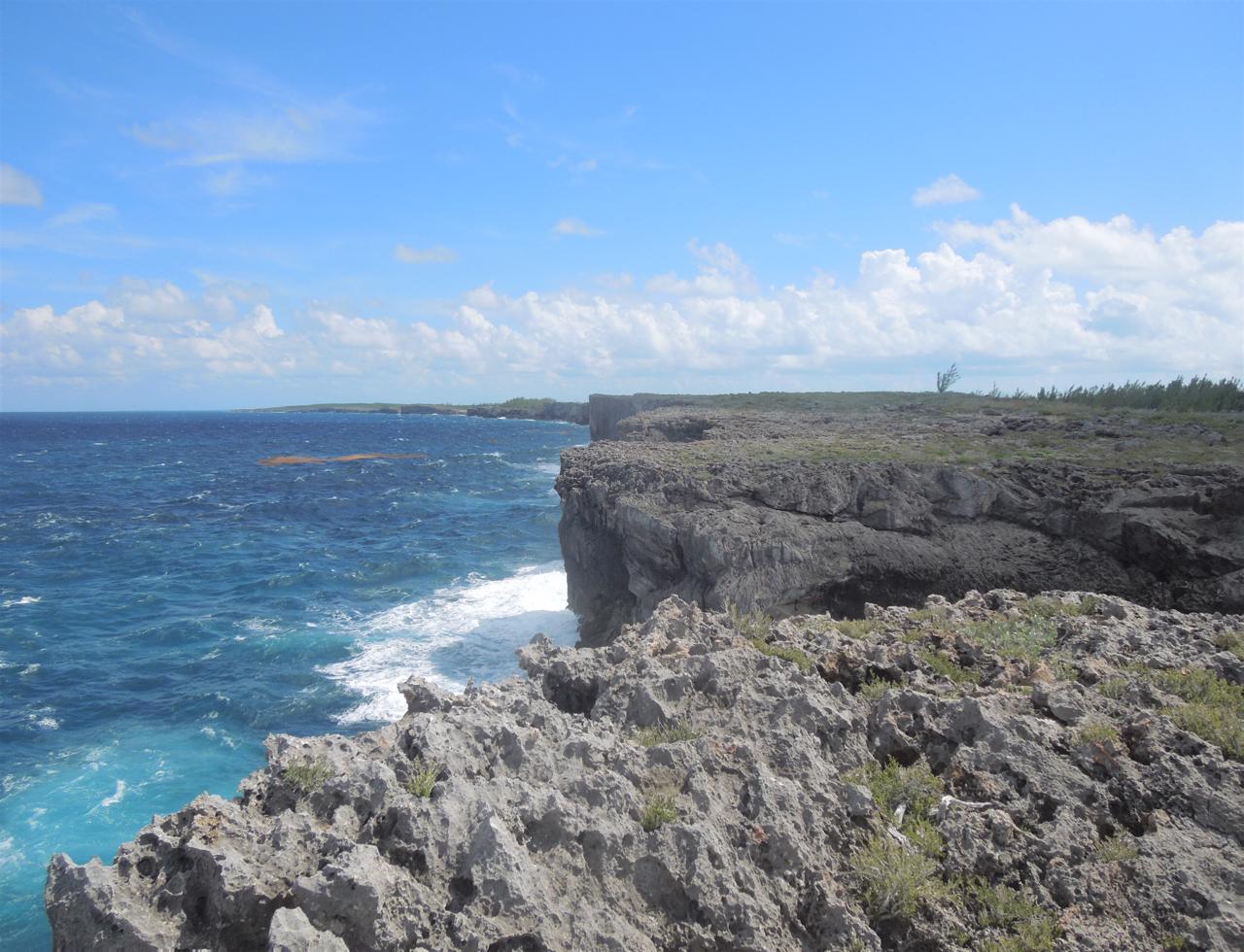 /listing-pending-waterfront-lot-in-eleuthera-for-sale-39621.html from Coldwell Banker Bahamas Real Estate