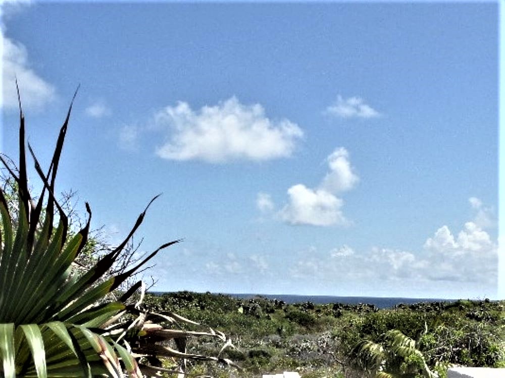 /listing-ocean-view-lots-in-morrisville-39779.html from Coldwell Banker Bahamas Real Estate