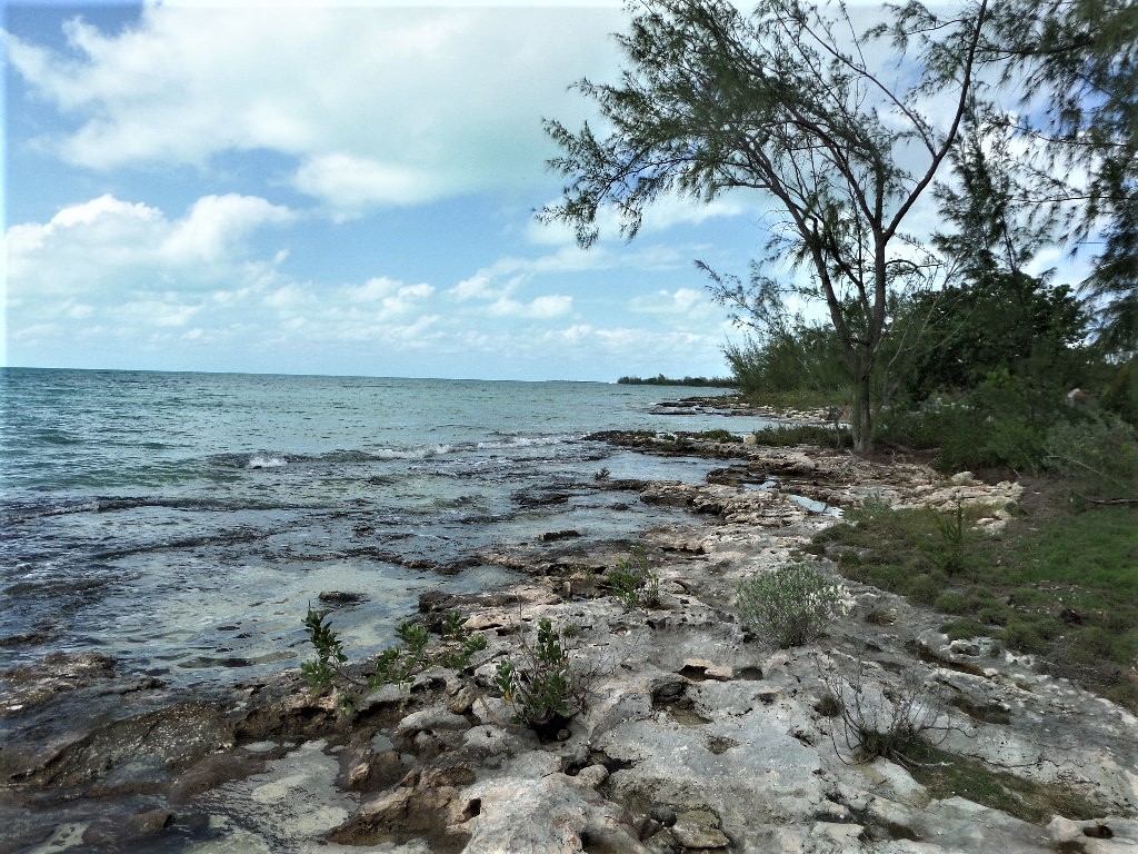 /listing-long-island-waterfront-lot-39815.html from Coldwell Banker Bahamas Real Estate