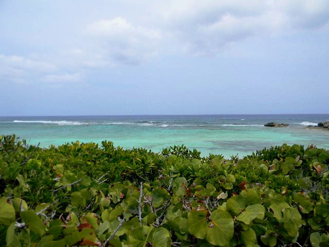 /listing-beachfront-lot-4052.html from Coldwell Banker Bahamas Real Estate