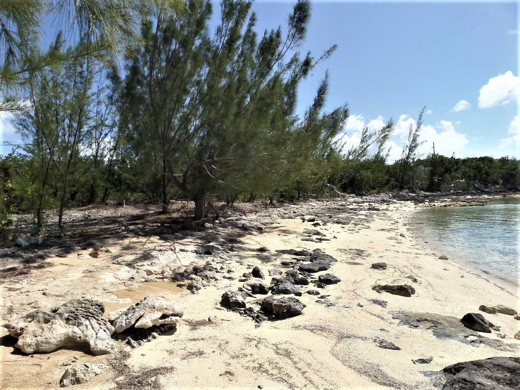 /listing-waterfront-lot-in-stella-maris-for-sale-40802.html from Coldwell Banker Bahamas Real Estate