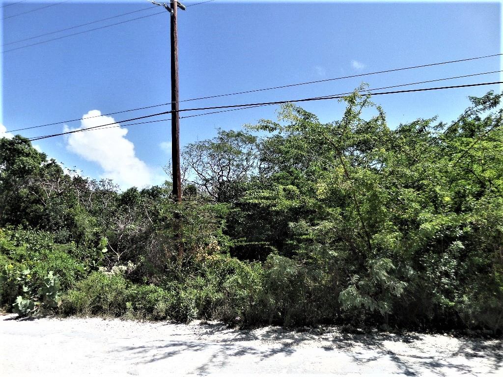/listing-long-island-lot-for-sale-40823.html from Coldwell Banker Bahamas Real Estate