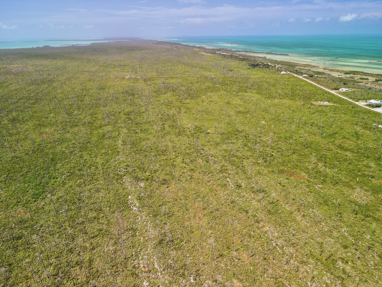 Bahamas Real Estate on Abaco For Sale ID 41392